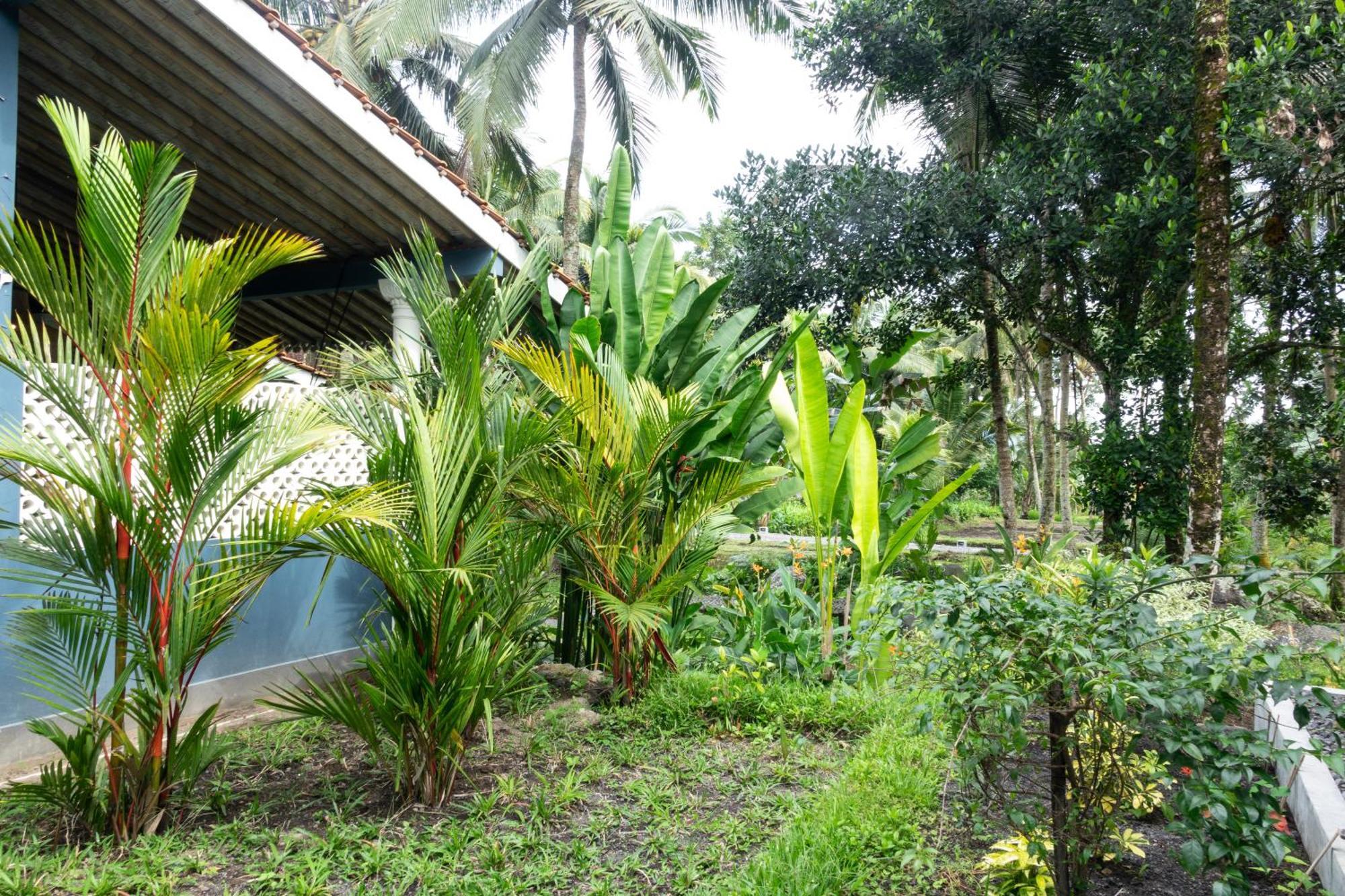 Darmada Eco Resort Sidemen  Buitenkant foto